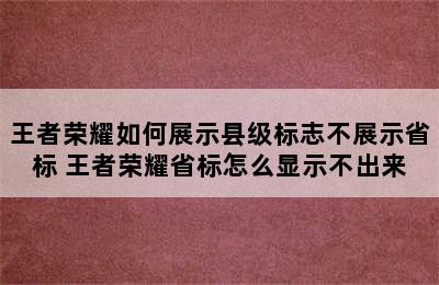 王者荣耀如何展示县级标志不展示省标 王者荣耀省标怎么显示不出来